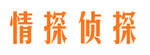 白碱滩侦探公司